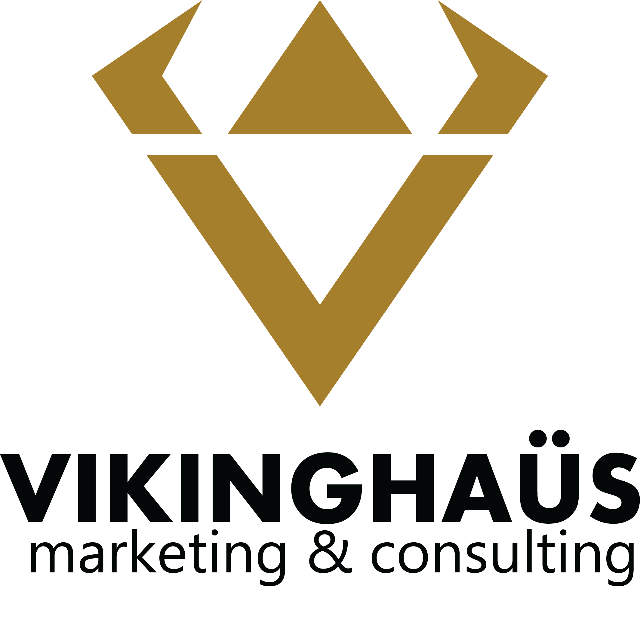 Vikinghaus llc consulting and marketing logo.