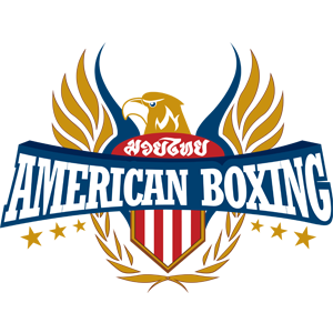 american boxing business marketing by Vikinghaus Marketing